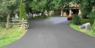 Best Driveway Pressure Washing  in Bylas, AZ